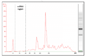 Profile of miRNA extracted from a cartilage tumor on Agilent 2100 Bioanalyzer.
