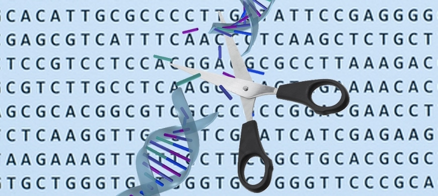 news CRISPR Precellys Homogenizers