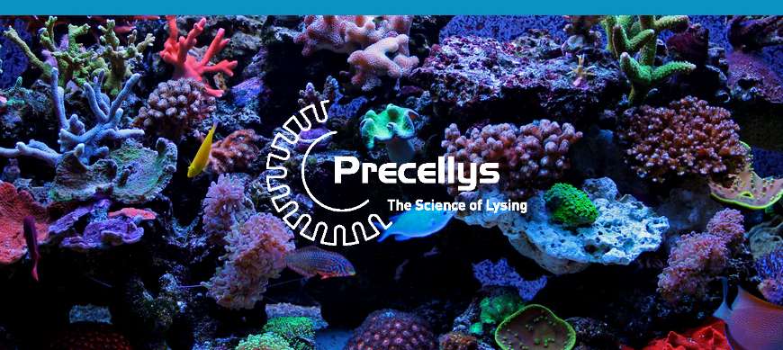 WP Precellys Marine Sample