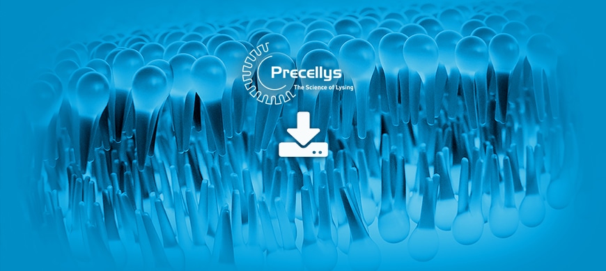 header-lipid-extraction-precellys