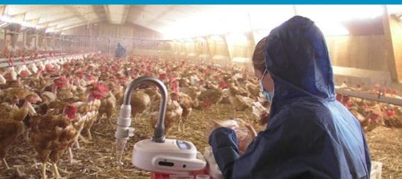 White Paper: Coriolis used for characterization & determination of pathogens in veterinary environments Bertin Technologies 39806