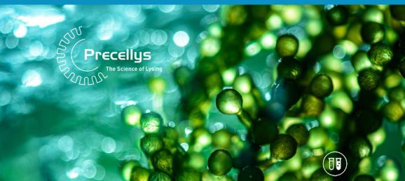 [White Paper] Best practices in marine sample preparation with Precellys Bertin Technologies 43015