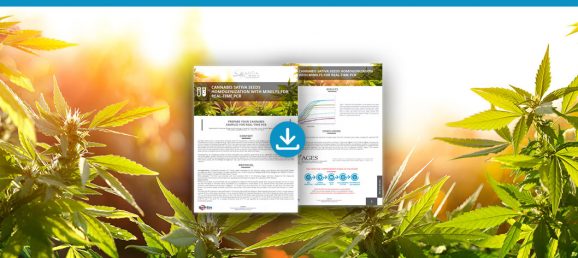 [Application note] Cannabis sativa seeds homogenization with Minilys for real-time PCR Bertin Technologies 47977