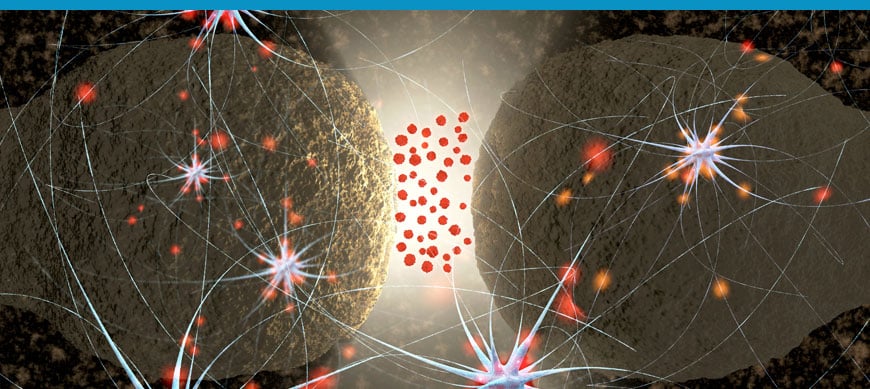 [White Paper] Quantify histamine levels with Bertin Bioreagent ELISA kit Bertin Technologies 50662