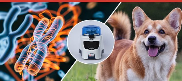 RNA extraction from normal dog skin biopsies Bertin Technologies 55233