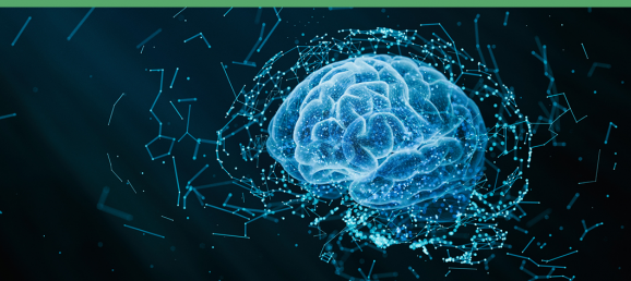 Exploring the effects of Tamoxifen in central anandamide (AEA) regulation using the Precellys homogenizer Bertin Technologies 57851