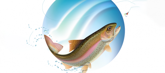 Effects of dietary supplementation of lignocellulose-derived cello-oligosaccharides on growth performance, antioxidant capacity, immune response, and intestinal microbiota in rainbow trout (Oncorhynchus mykiss) Bertin Technologies 67487