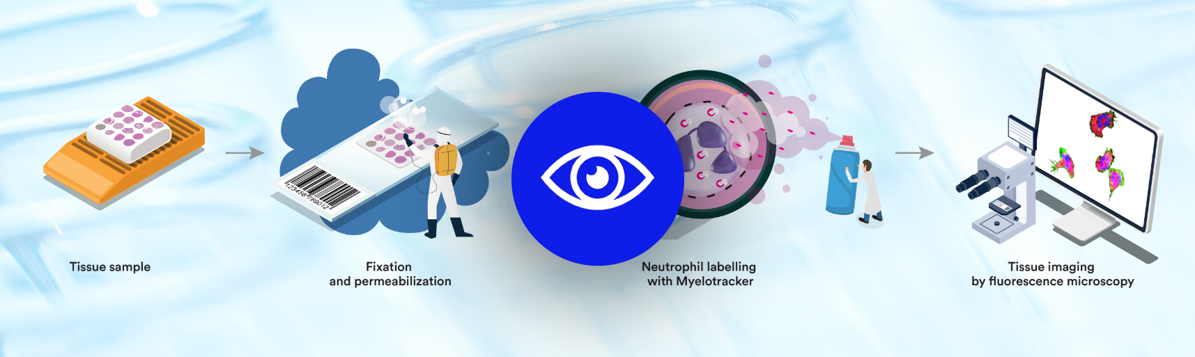tissue sample infography