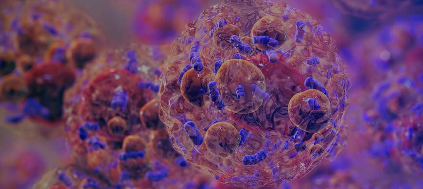 PPARα in Brown Adipose Tissue: Bertin Bioreagent ELISAs Support a Key Discovery in Obesity Research Bertin Technologies 94389