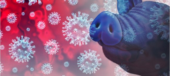 Visuel APN ASF - PREC-026-DU169-A-ASF 7 mL-LT1_2026