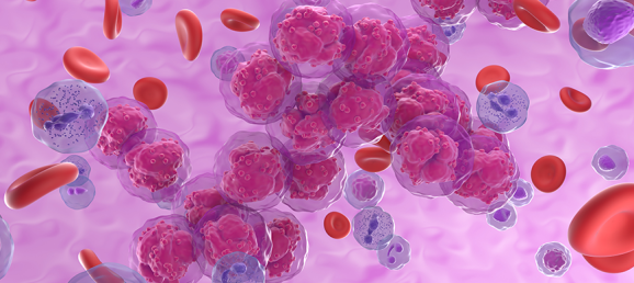 Reveal the full Complexity of Neutrophils without Activating them with Myelotracker Bertin Technologies 96172